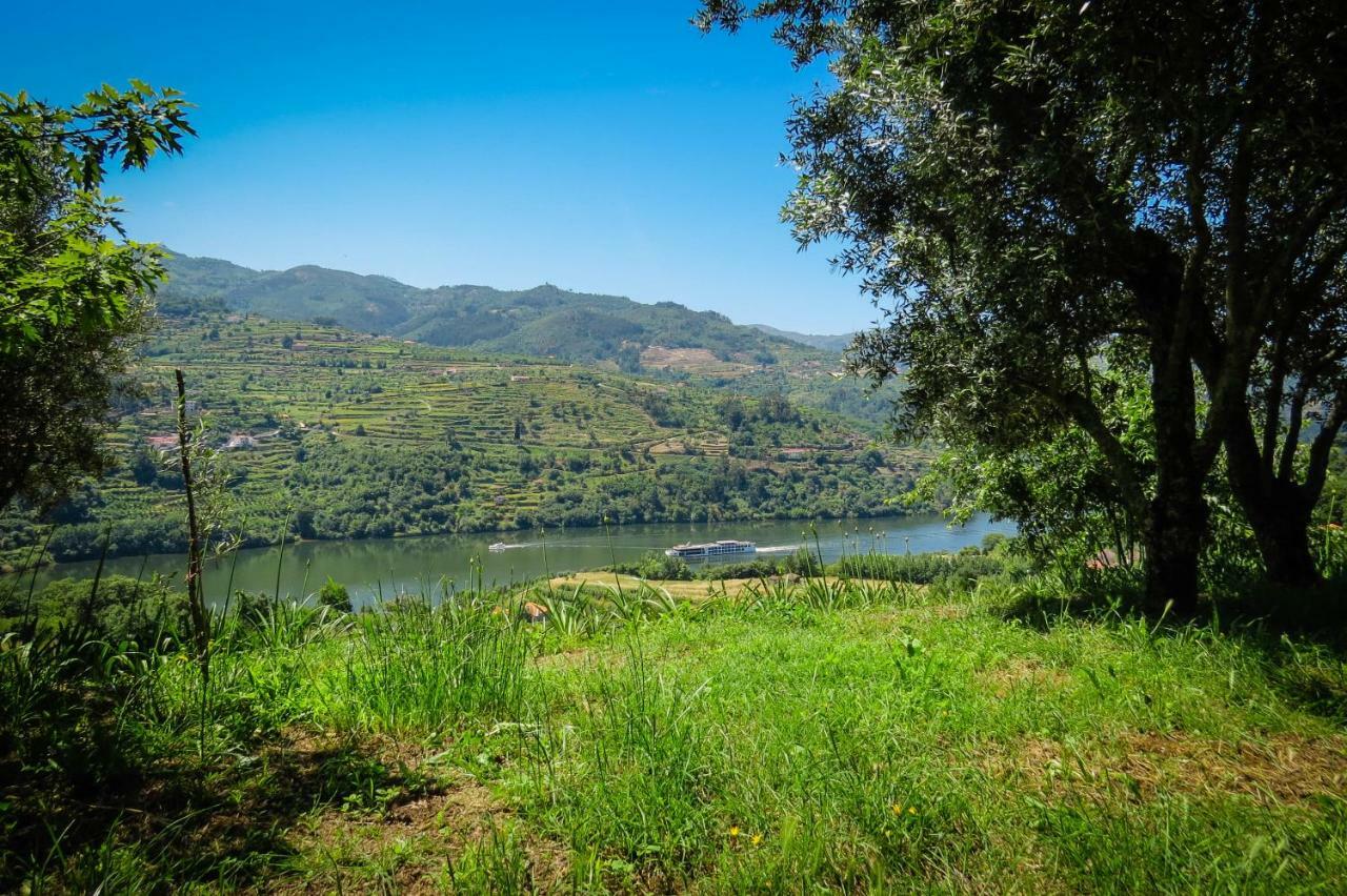 Casa Da Mouta - Douro Valley Baião Kültér fotó