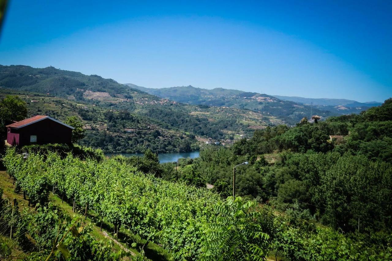 Casa Da Mouta - Douro Valley Baião Kültér fotó