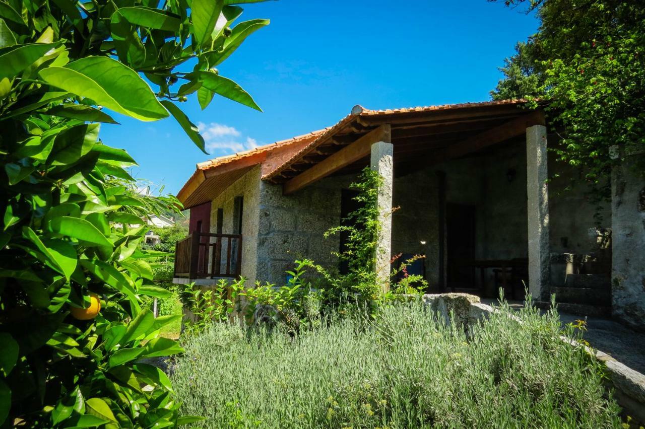 Casa Da Mouta - Douro Valley Baião Kültér fotó