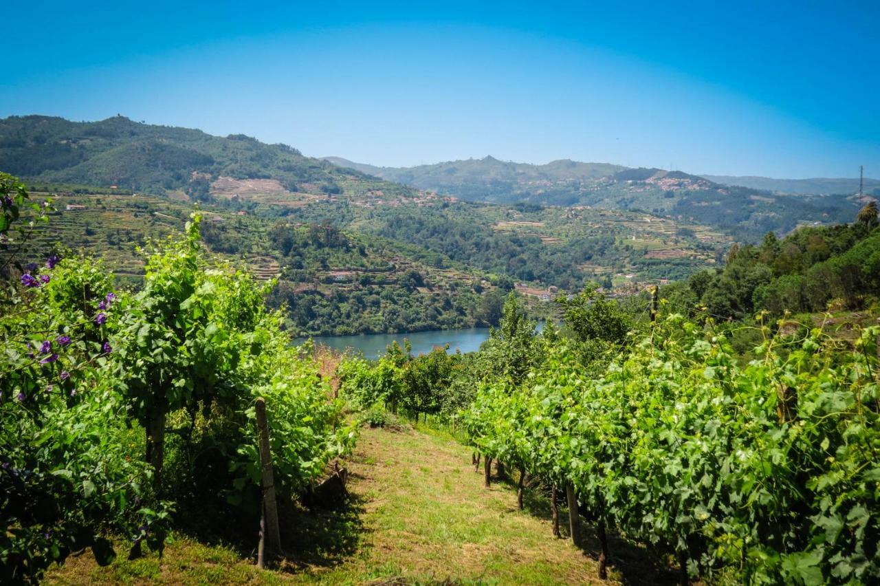 Casa Da Mouta - Douro Valley Baião Kültér fotó