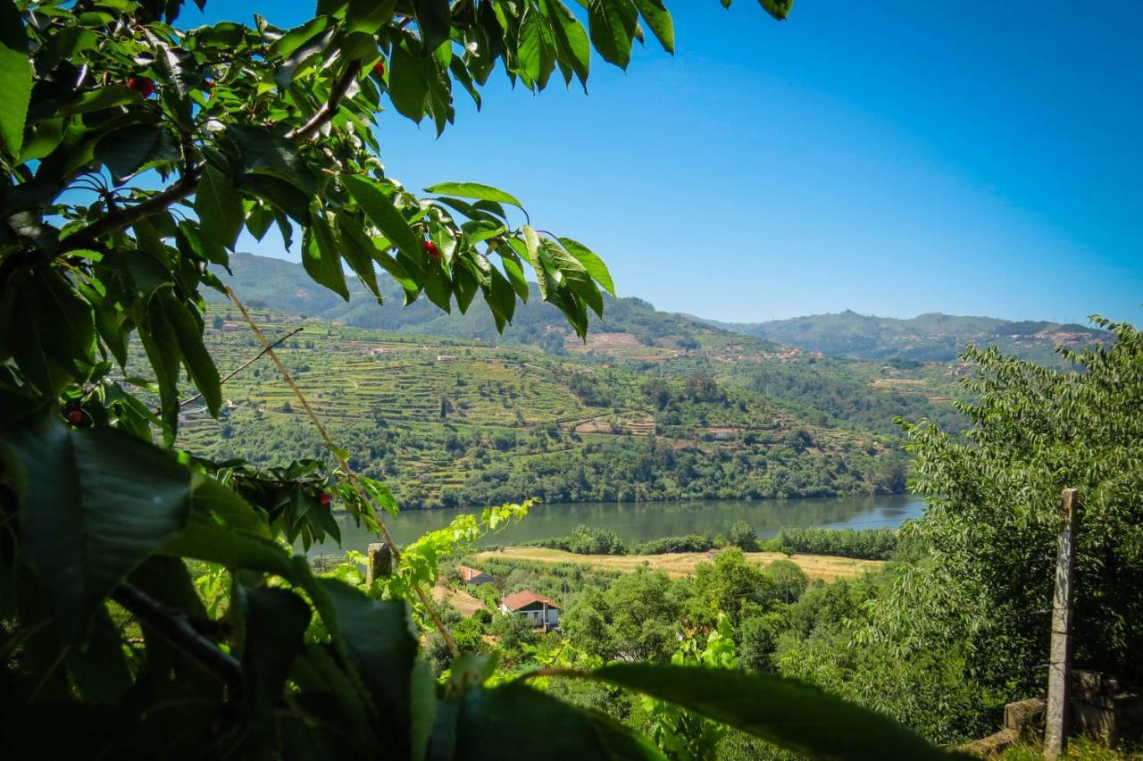 Casa Da Mouta - Douro Valley Baião Kültér fotó