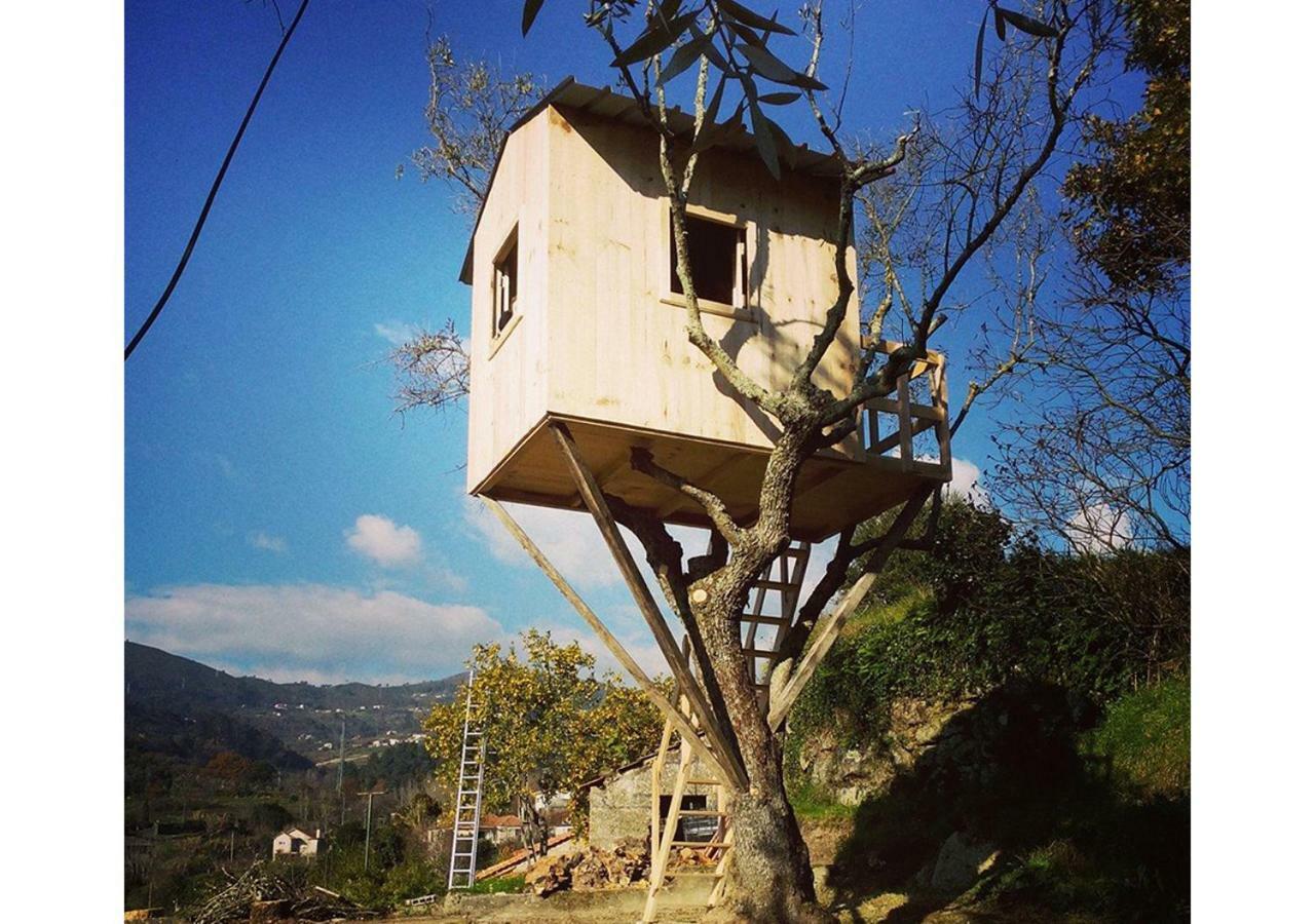 Casa Da Mouta - Douro Valley Baião Kültér fotó