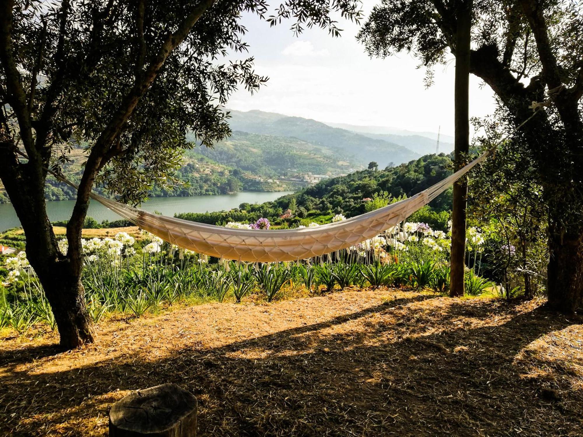 Casa Da Mouta - Douro Valley Baião Kültér fotó