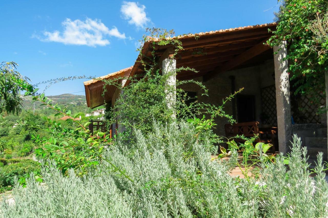 Casa Da Mouta - Douro Valley Baião Kültér fotó